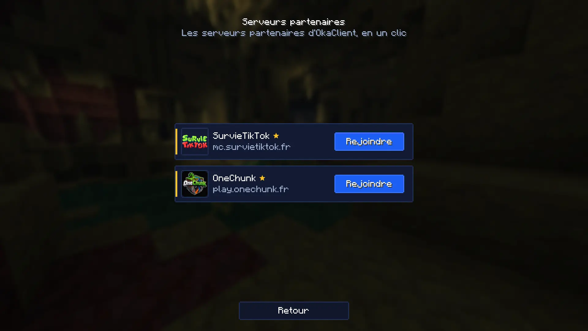 "Partner servers" screen in game